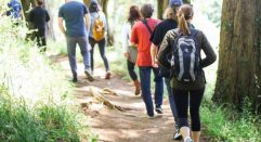 People walking along a country path