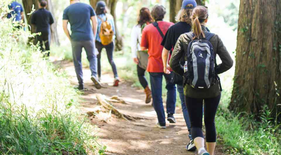 People walking along a country path
