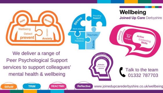 PPS supportgin graphic with web page